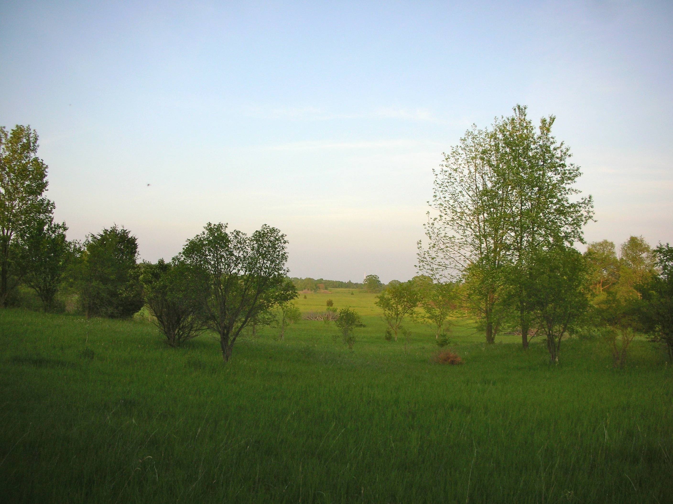 0BF6B682-D919-426B-B964-689C03C01AEA