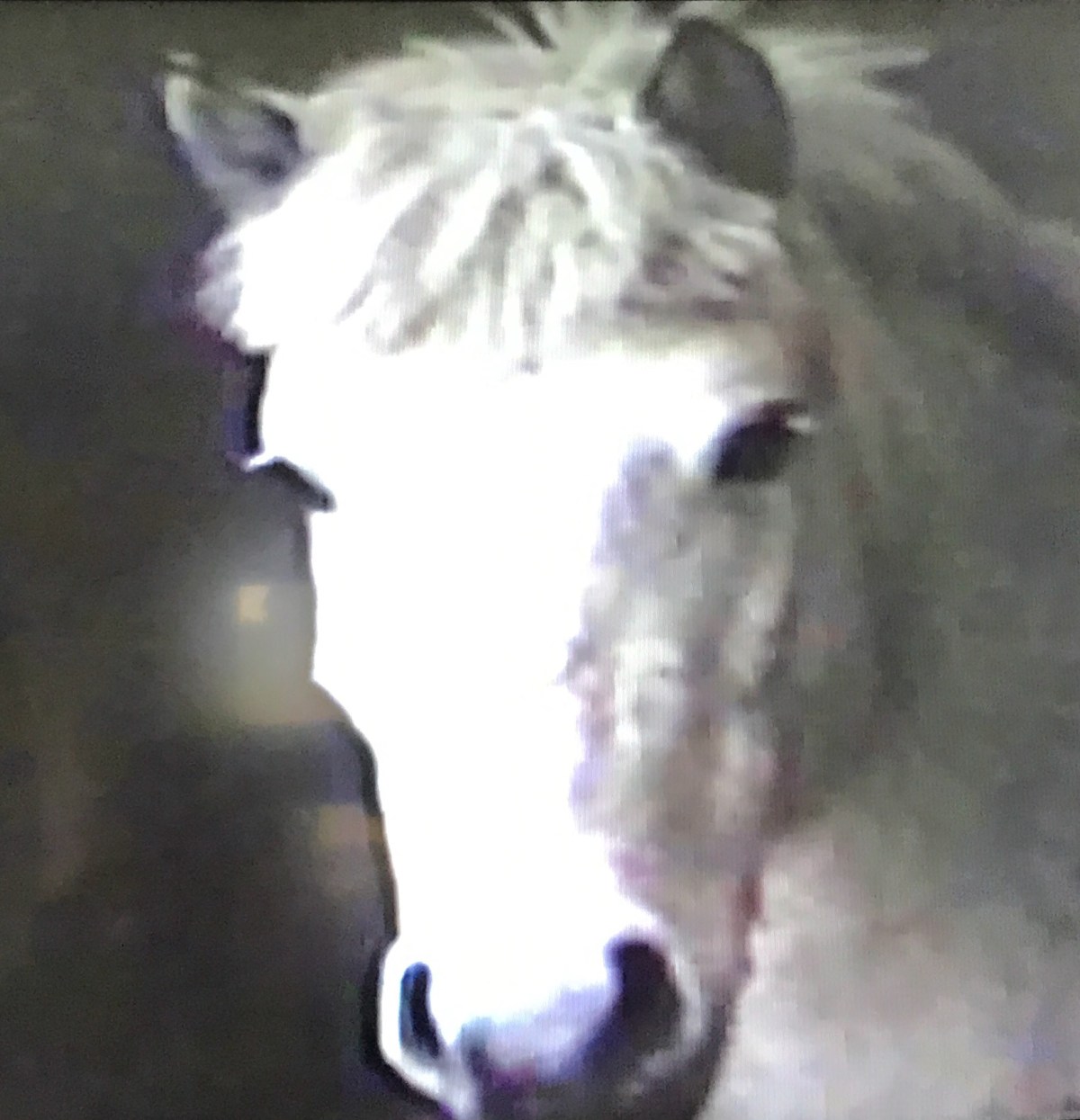 Within Close Range: Chief – in three&nbsp;parts