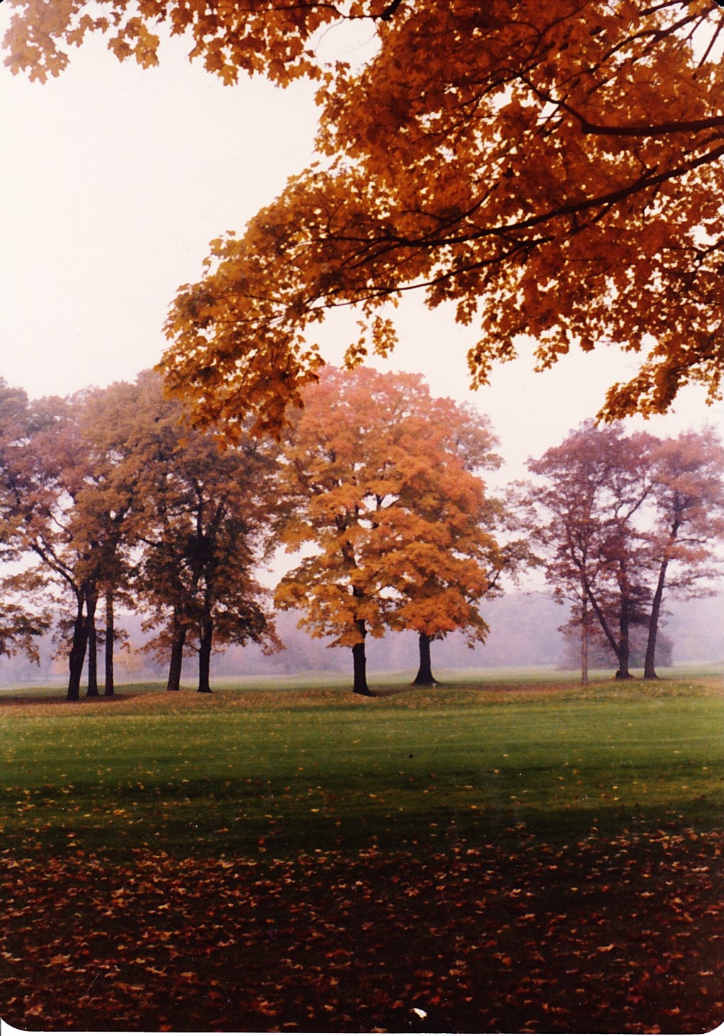 Within Close Range:&nbsp;Shoreacres