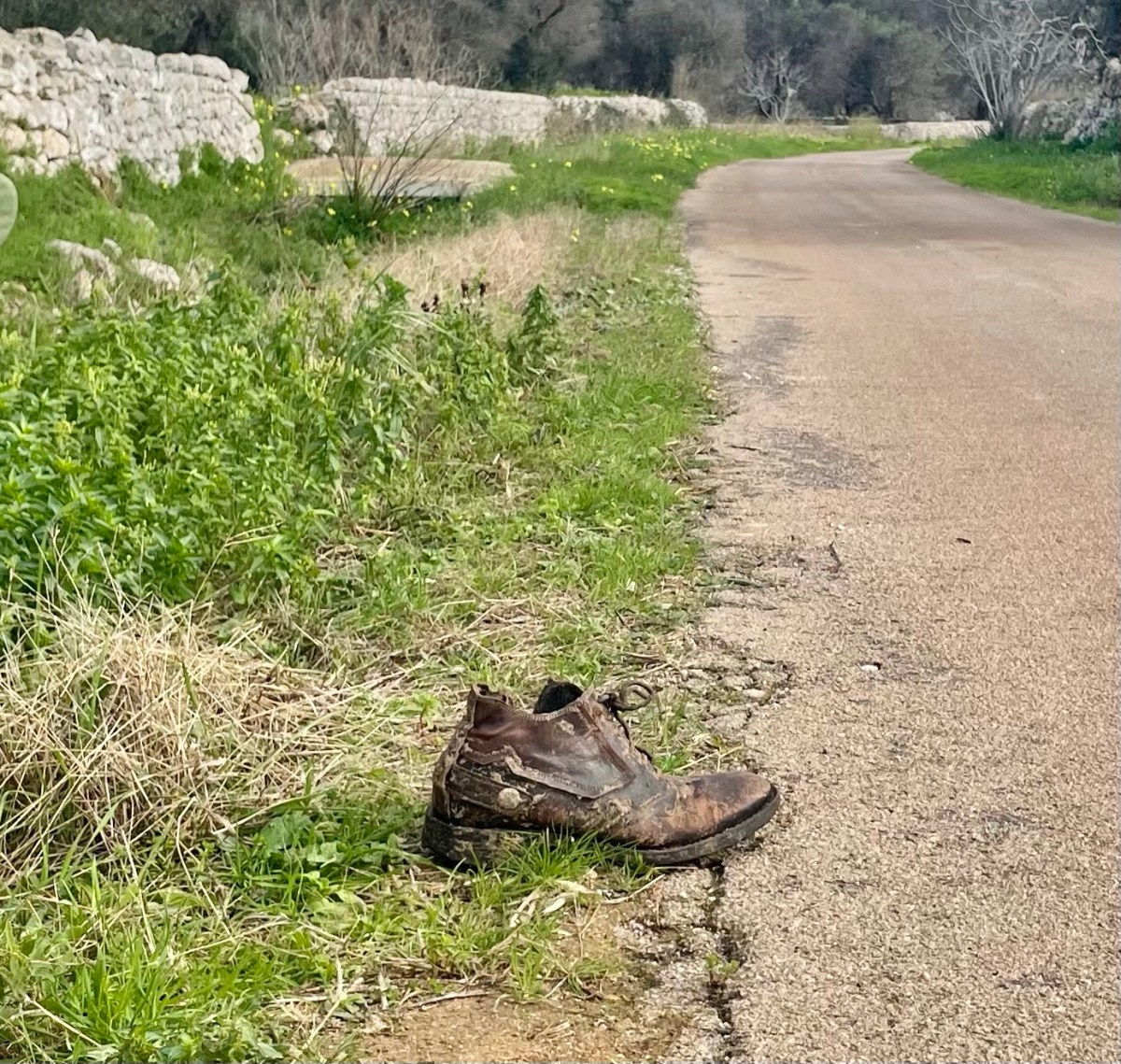 The Shoe