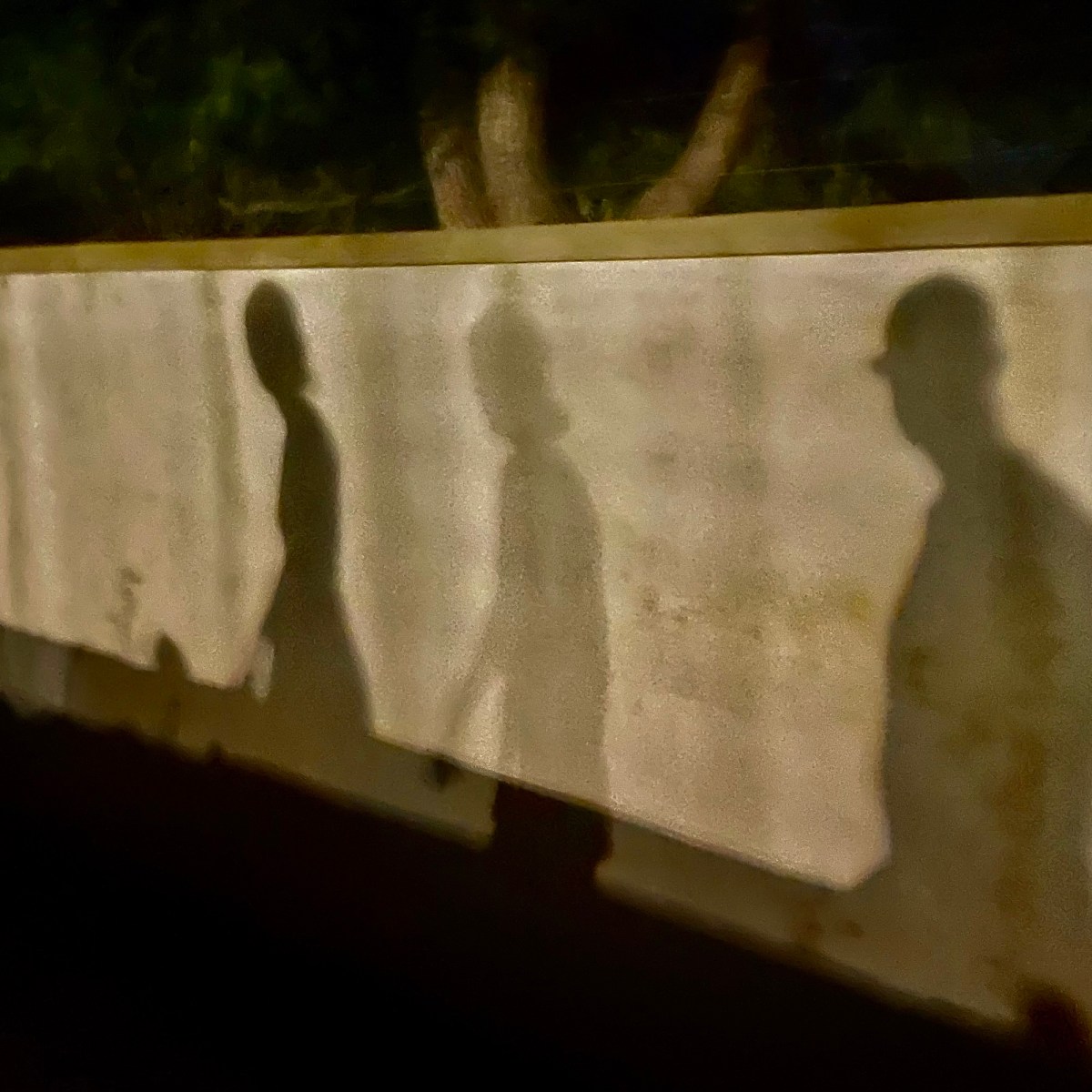 Shadows on the&nbsp;Wall
